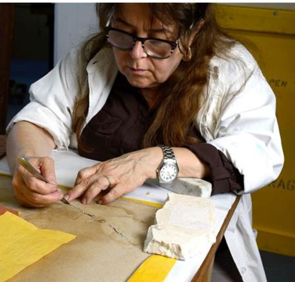 Aramengo, ciclo sulla carta